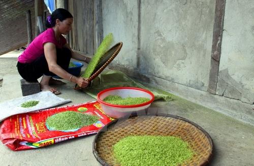 Sảy cốm cho bong vỏ và phân loại cốm thành phẩm sau mỗi lần giã